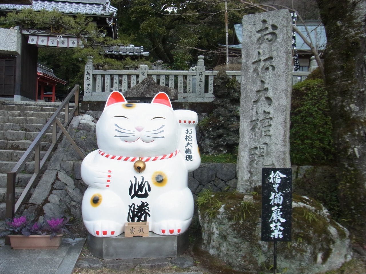 お松権現 猫神さん 徳島ラーメンと猫と野球