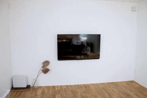 fullsizeoutput_d49
