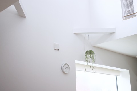 fullsizeoutput_1f74