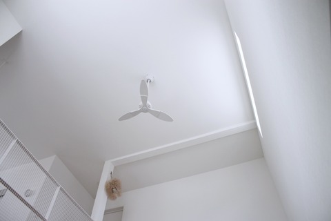 fullsizeoutput_1a32