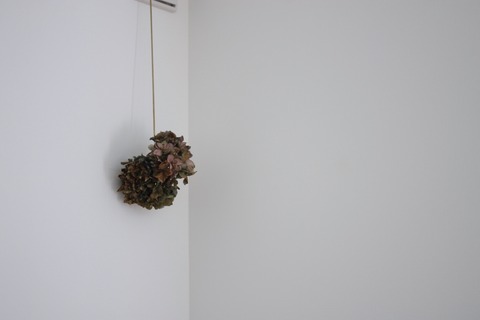 fullsizeoutput_1e51