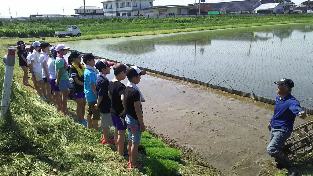 田植え実習 小学校 鳥海の麓 北村くらた農園 より愛を米て