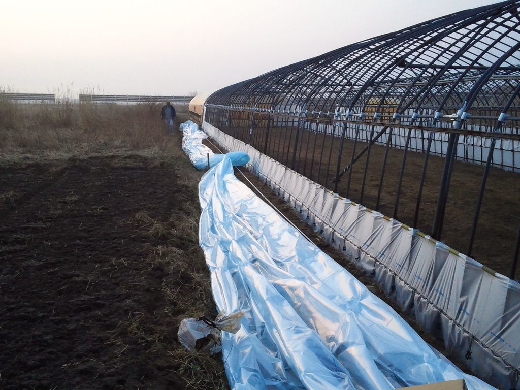 ビニールハウス一棟完了 : 鳥海の麓 「北村くらた農園」より愛を米て。