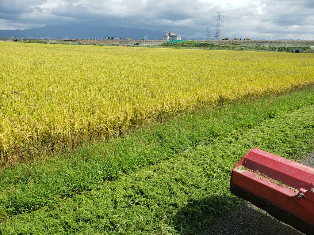 稲刈り中止 三か所目の耕作放棄地草刈り 鳥海の麓 北村くらた農園 より愛を米て 稲刈り中止 三か所目の耕作放棄地草刈り 鳥海の麓 北村くらた農園 より愛を米て