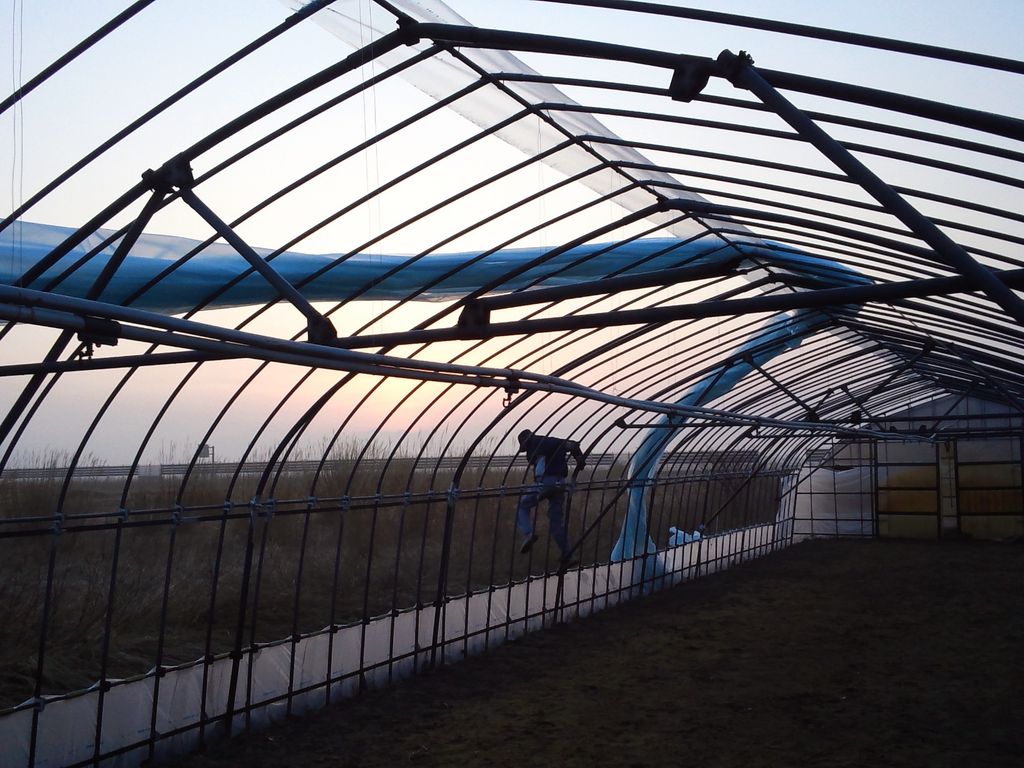 ビニールハウス残り1棟 ビニールハウス一棟完了 : 鳥海の麓 「北村くらた農園」より愛を米て。