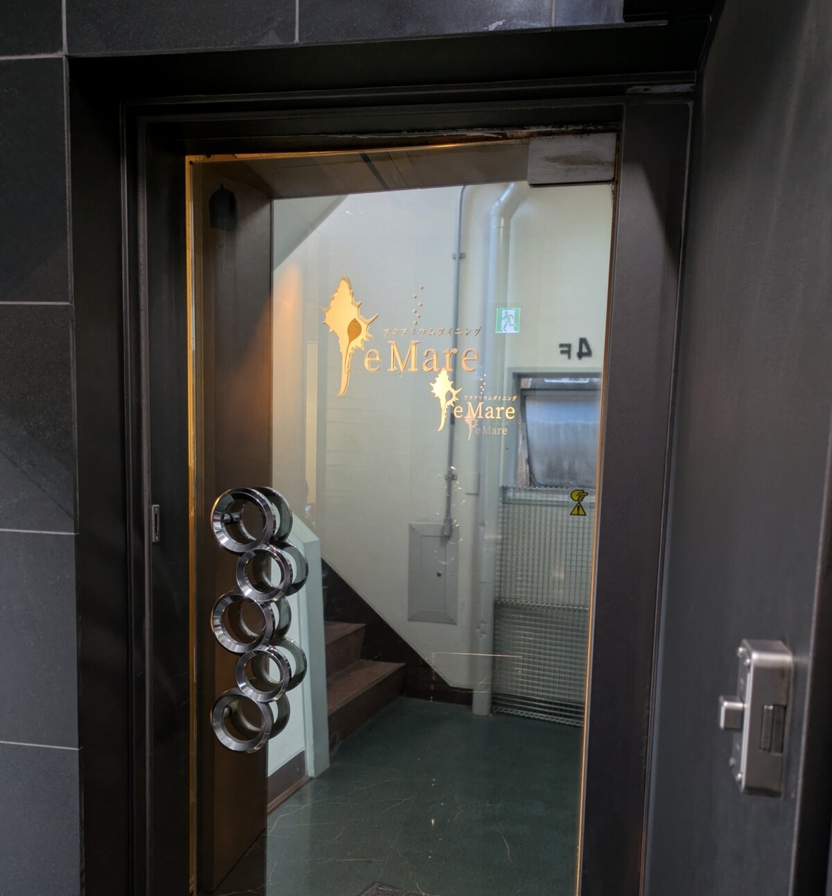 Polish_20260315_211434662