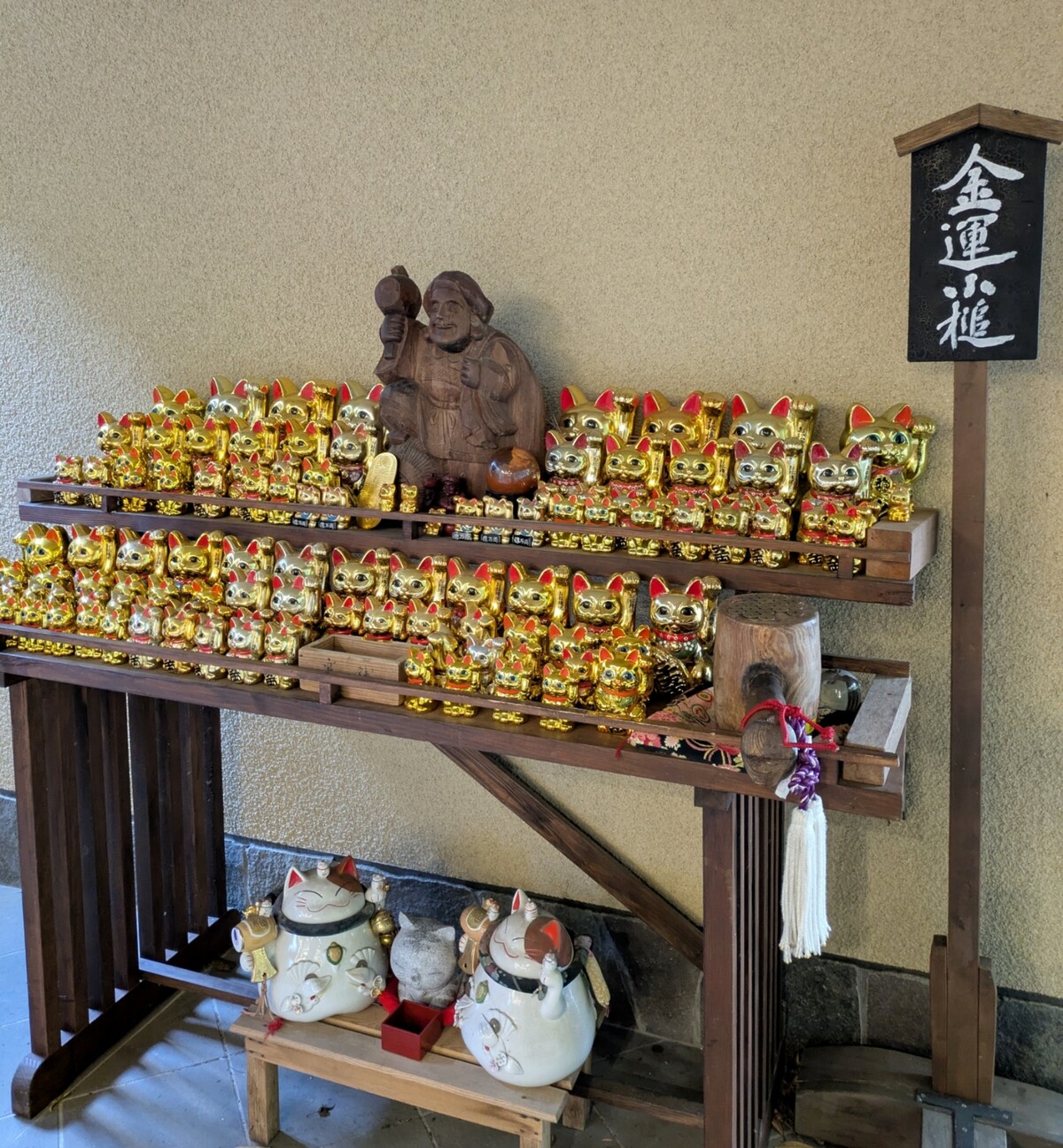 Polish_20260113_161805337