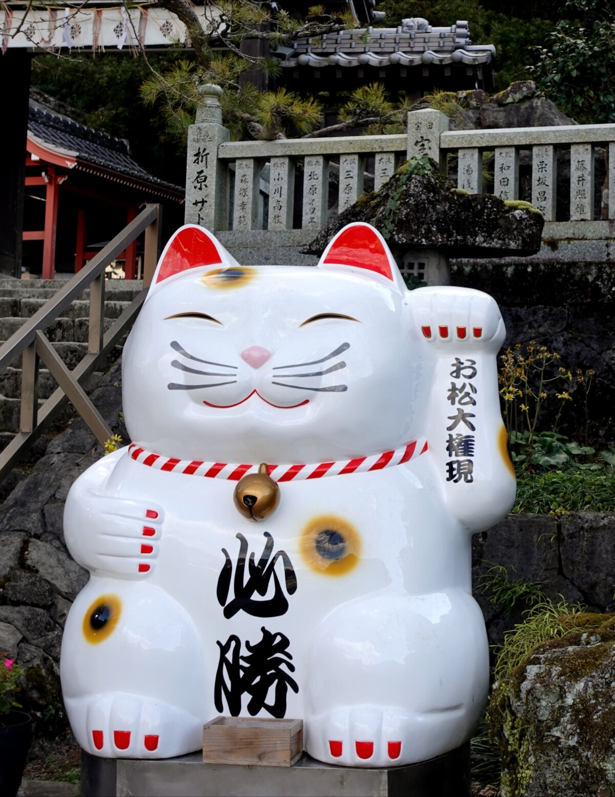 Polish_20260113_155819871