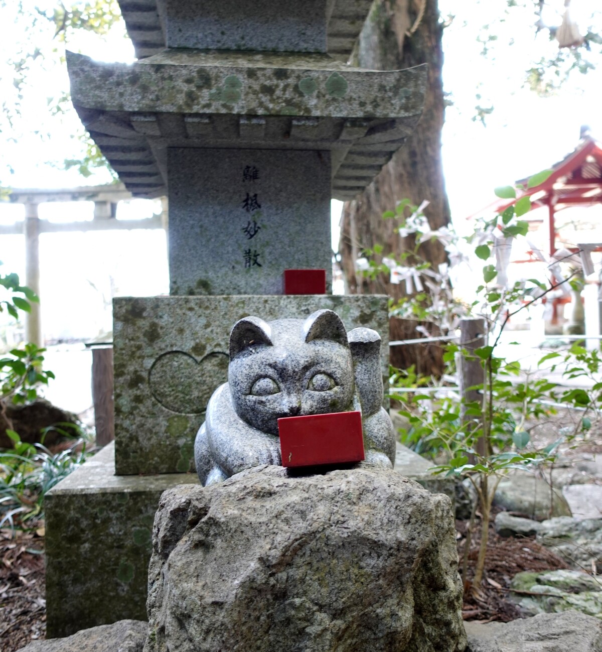 Polish_20260113_160357246