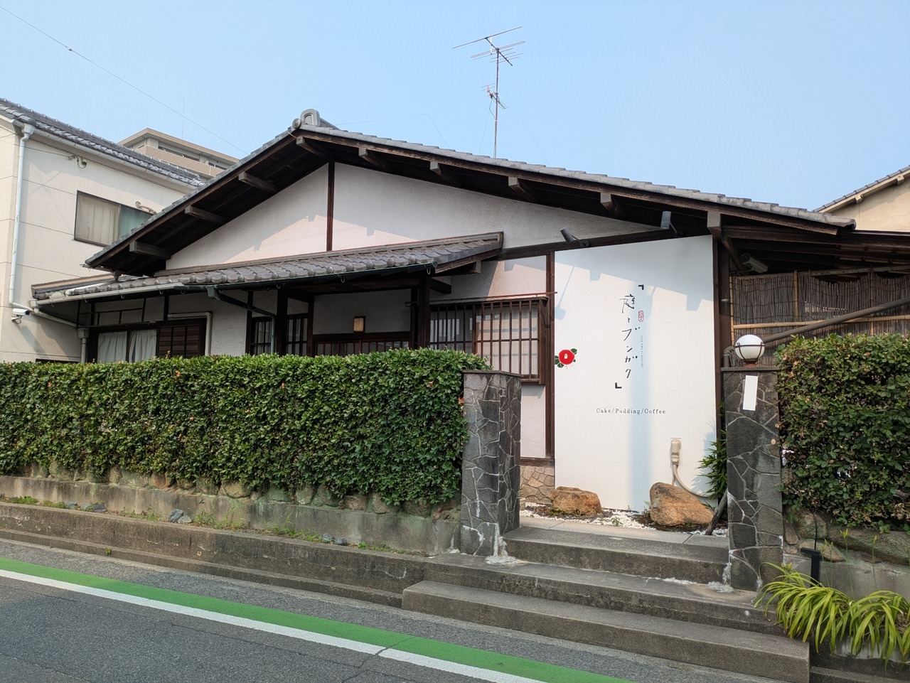 PXL_20250704_061851176