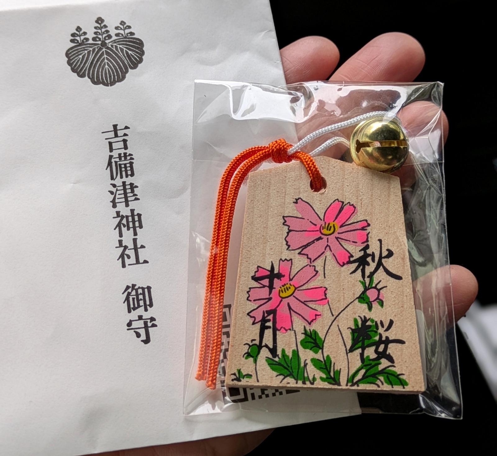 Polish_20260104_172845741