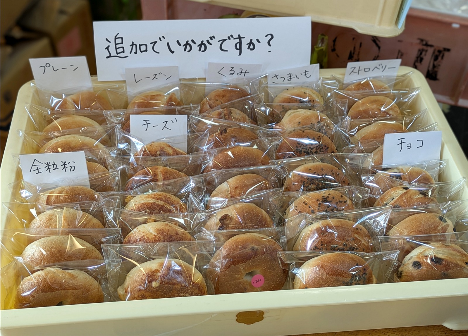 Polish_20260223_123643215