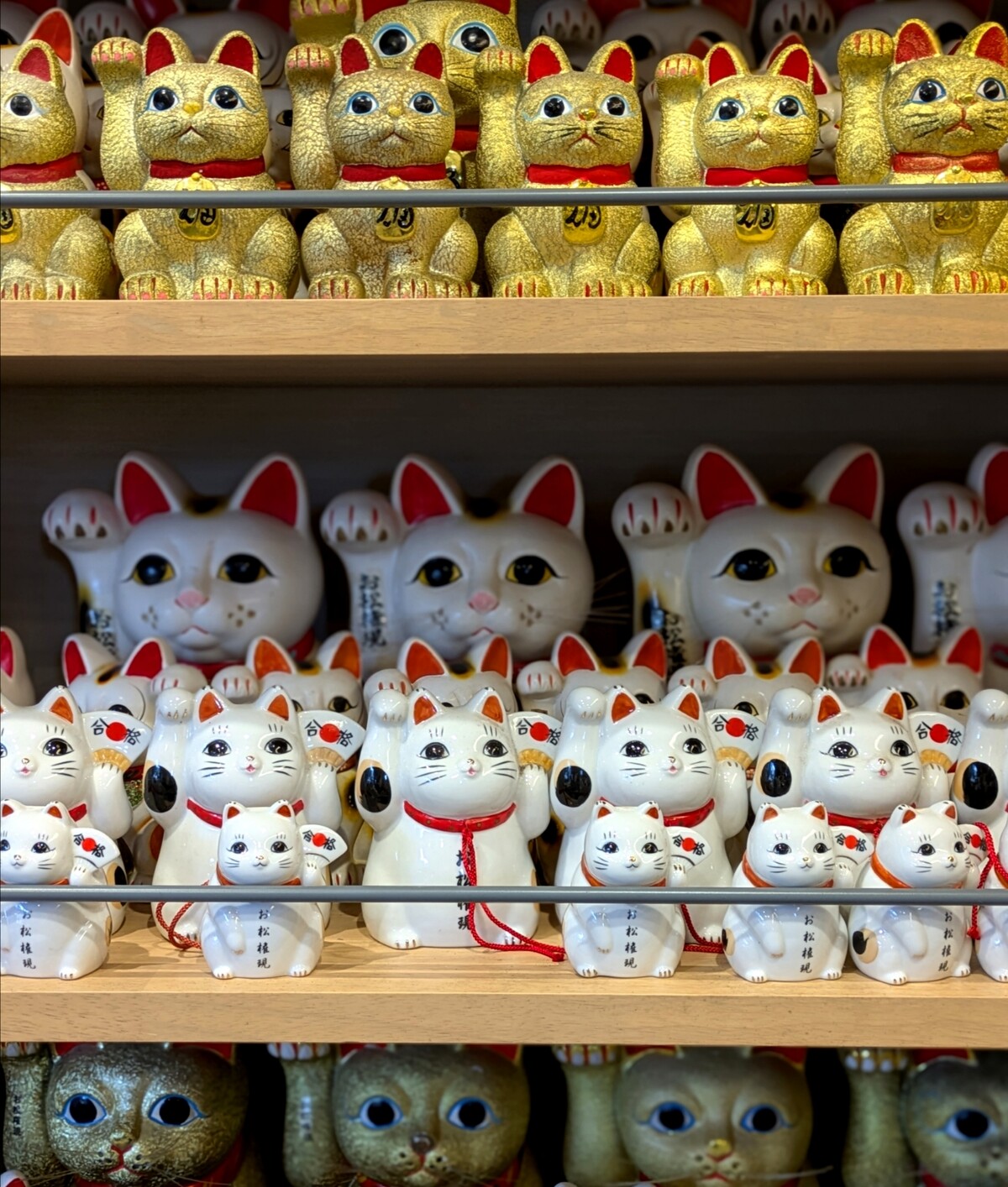 Polish_20260113_161955352