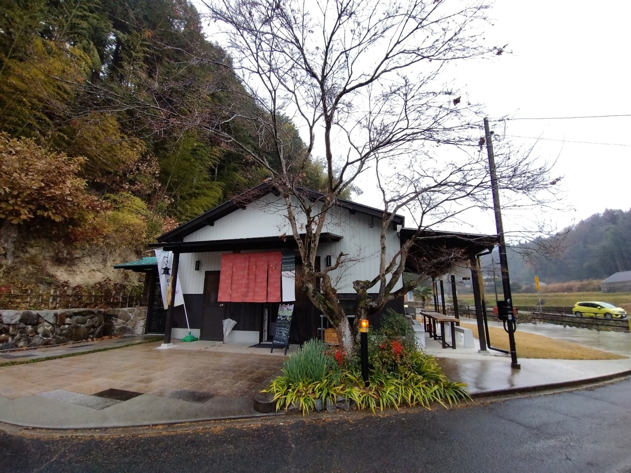 DSC_0496_20221217175130172