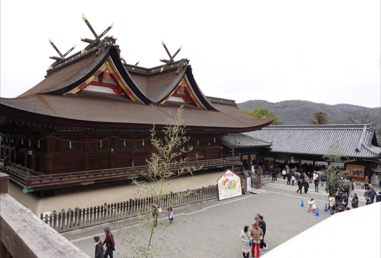 Polish_20260104_172623609