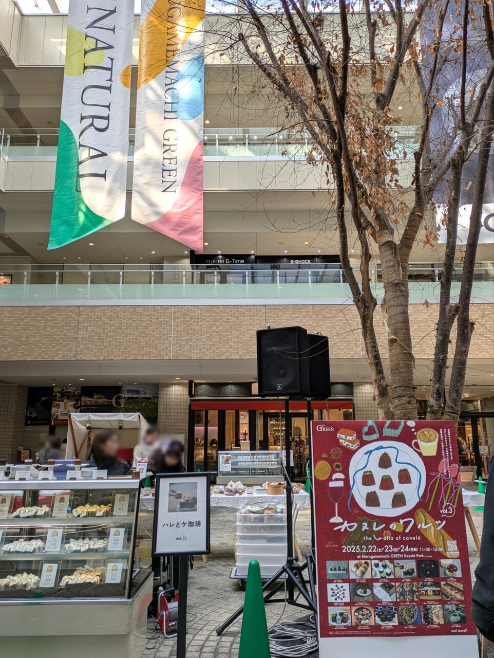 ぼかし丸_20250222_165117