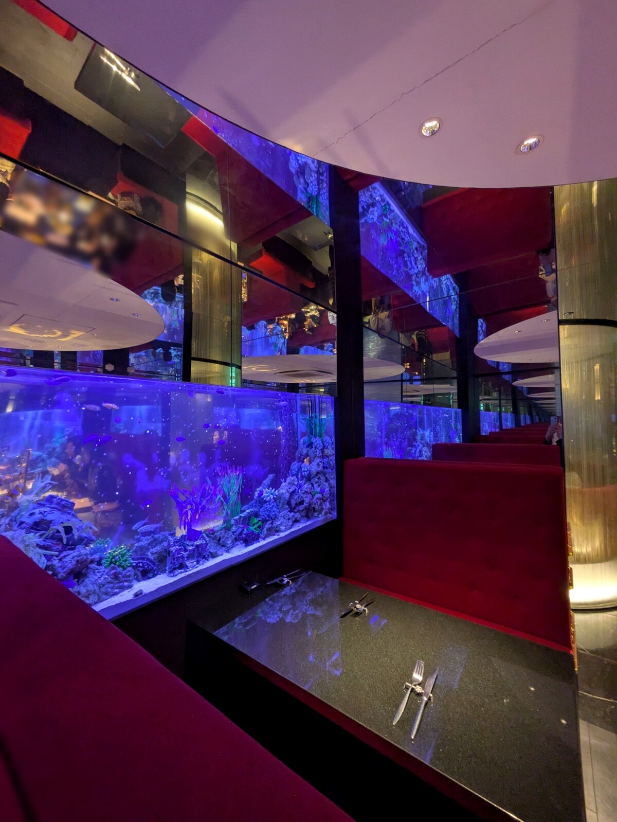 Polish_20260315_163503899