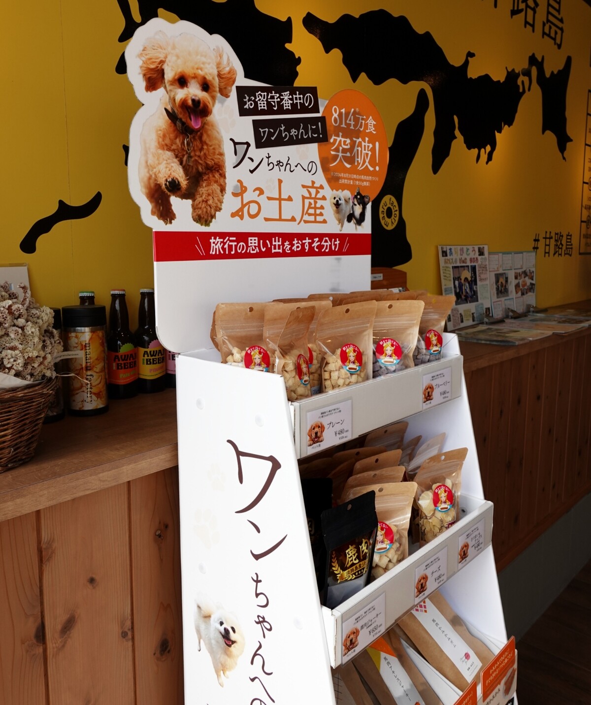 Polish_20260405_104439809