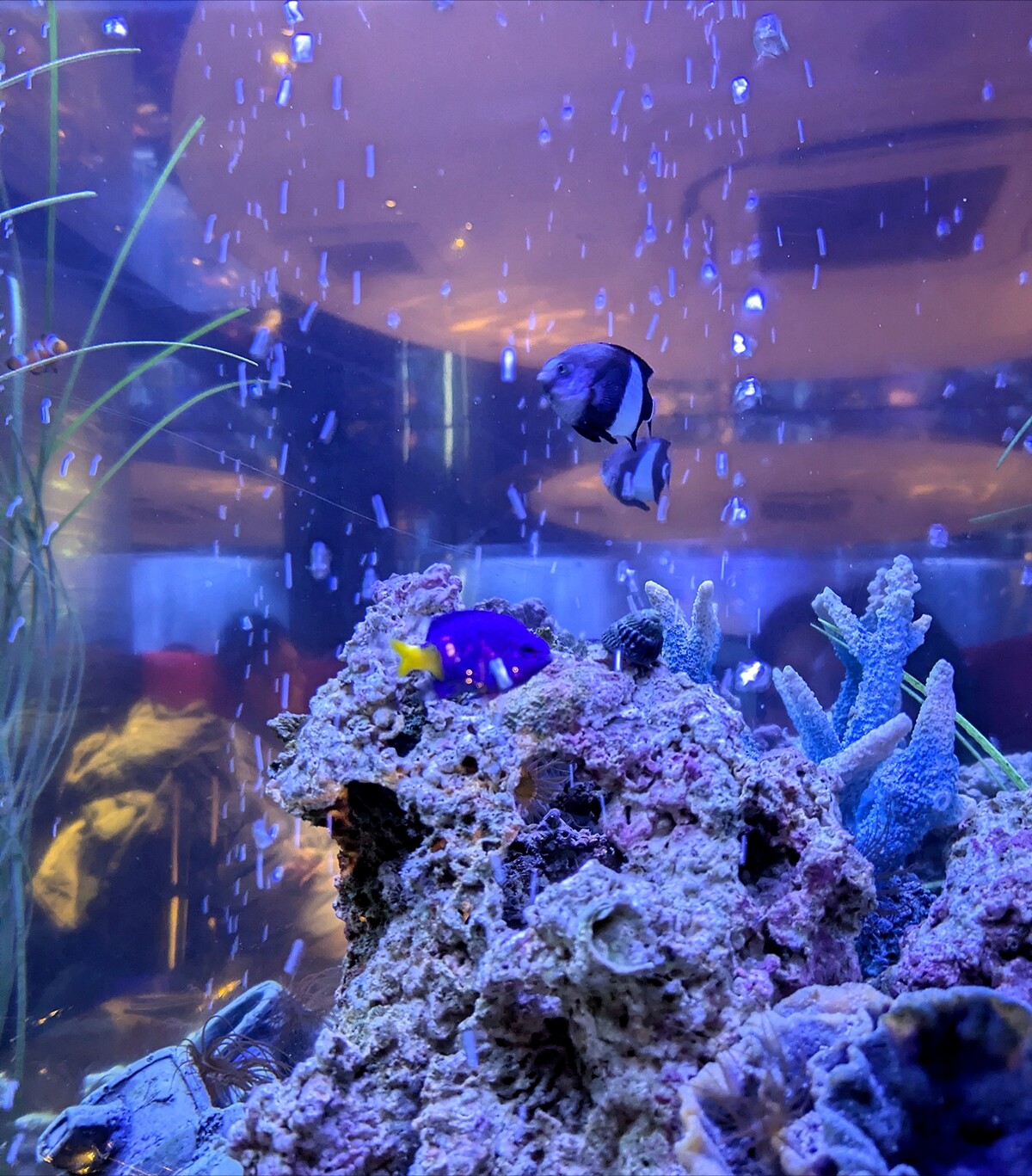 Polish_20260315_211729706