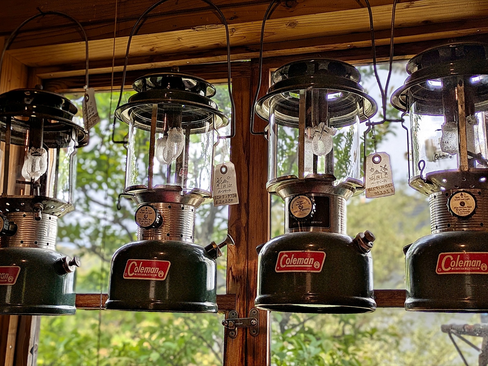 Polish_20260414_120311556