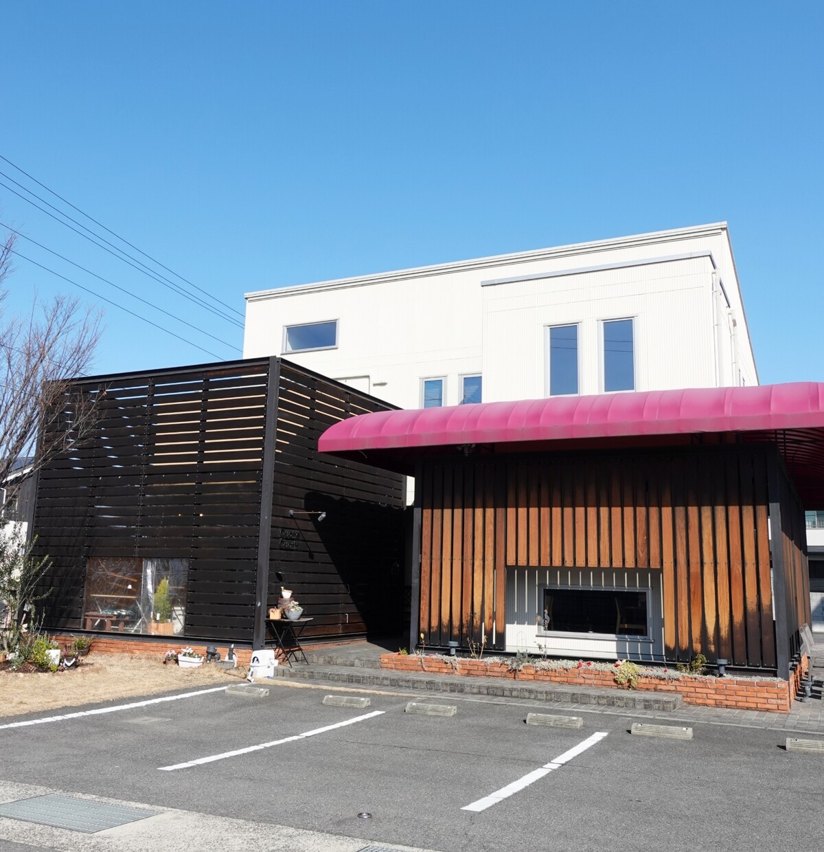 Polish_20260204_183058240