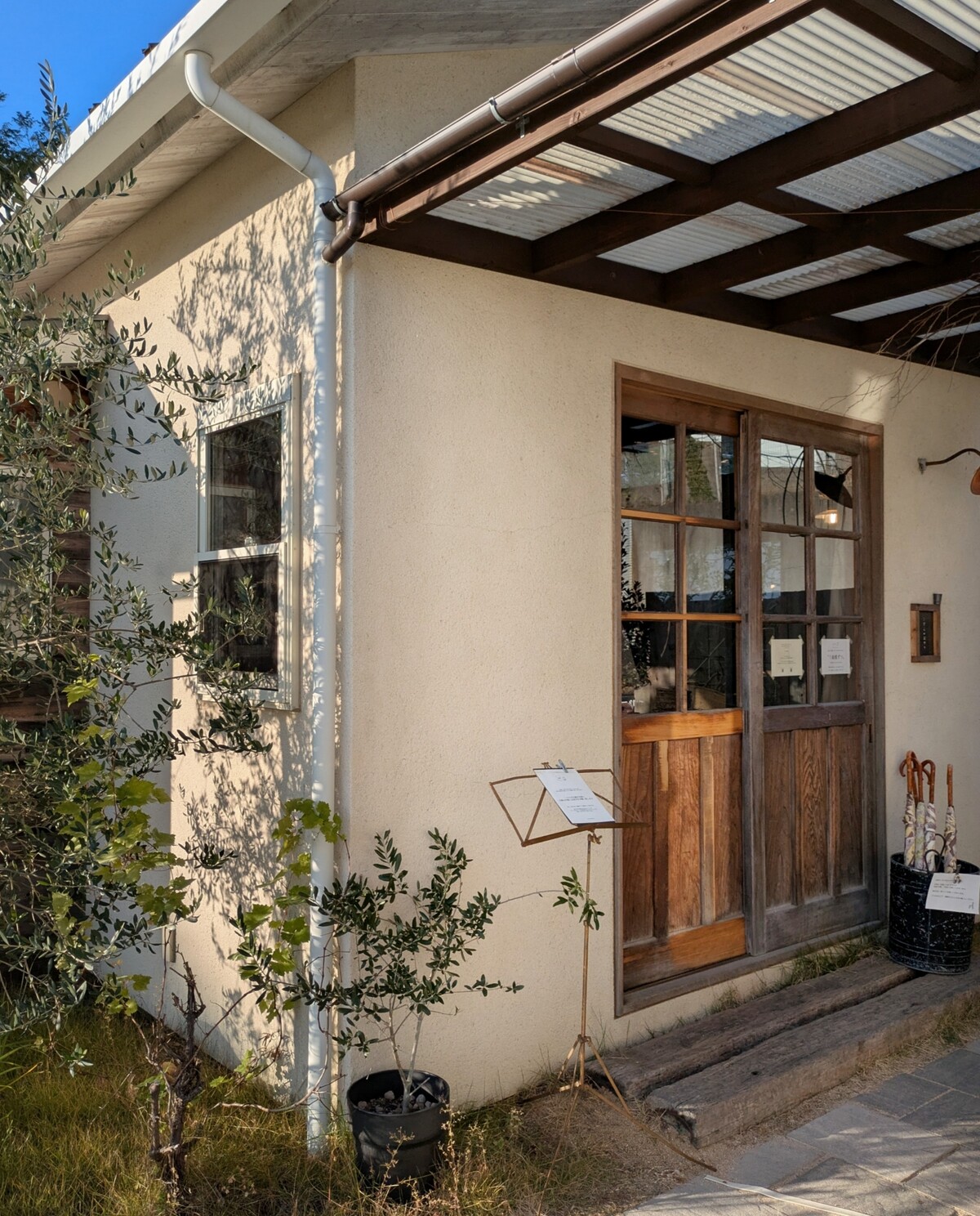 PXL_20251128_063043617