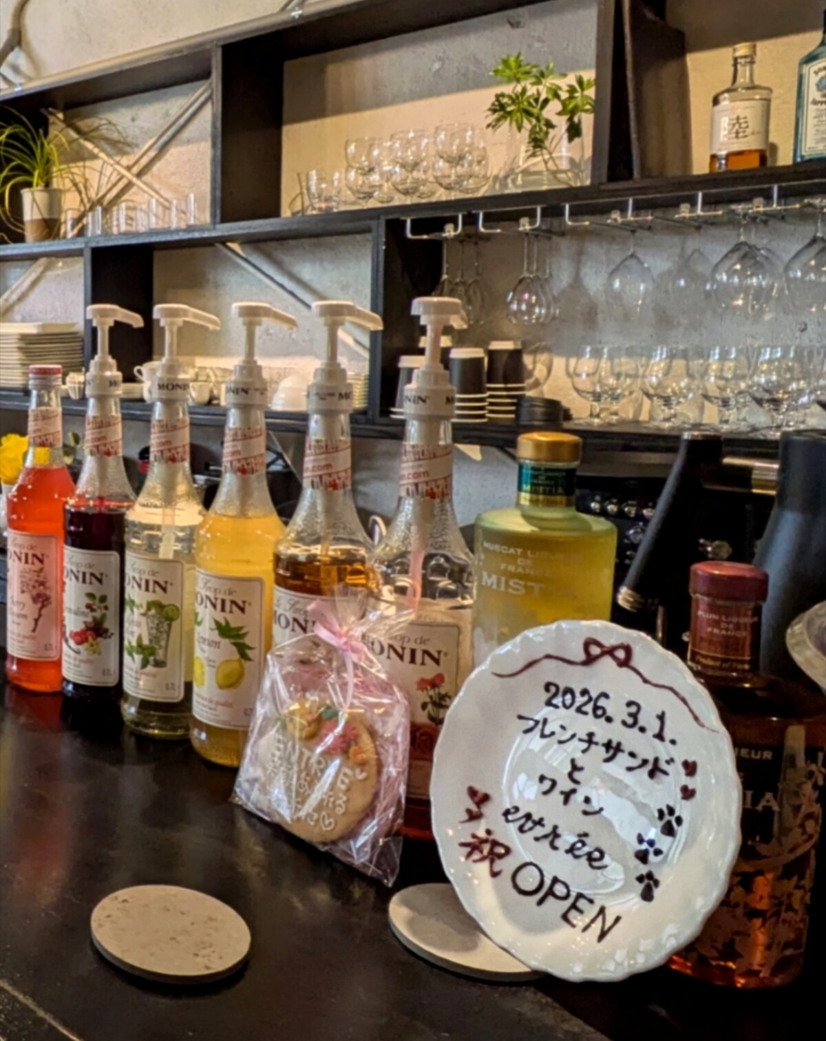 Polish_20260308_174855771