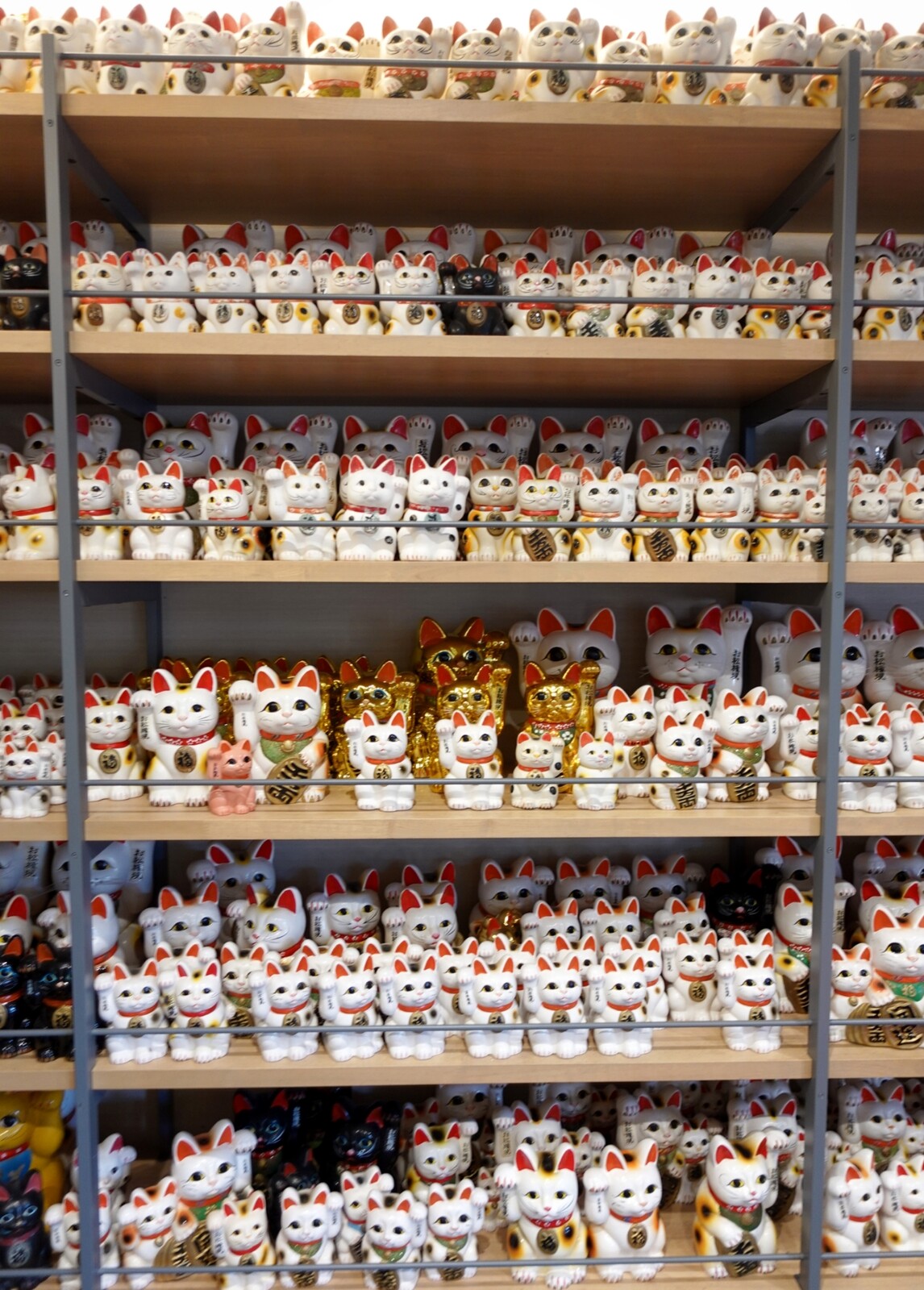 Polish_20260113_155954652