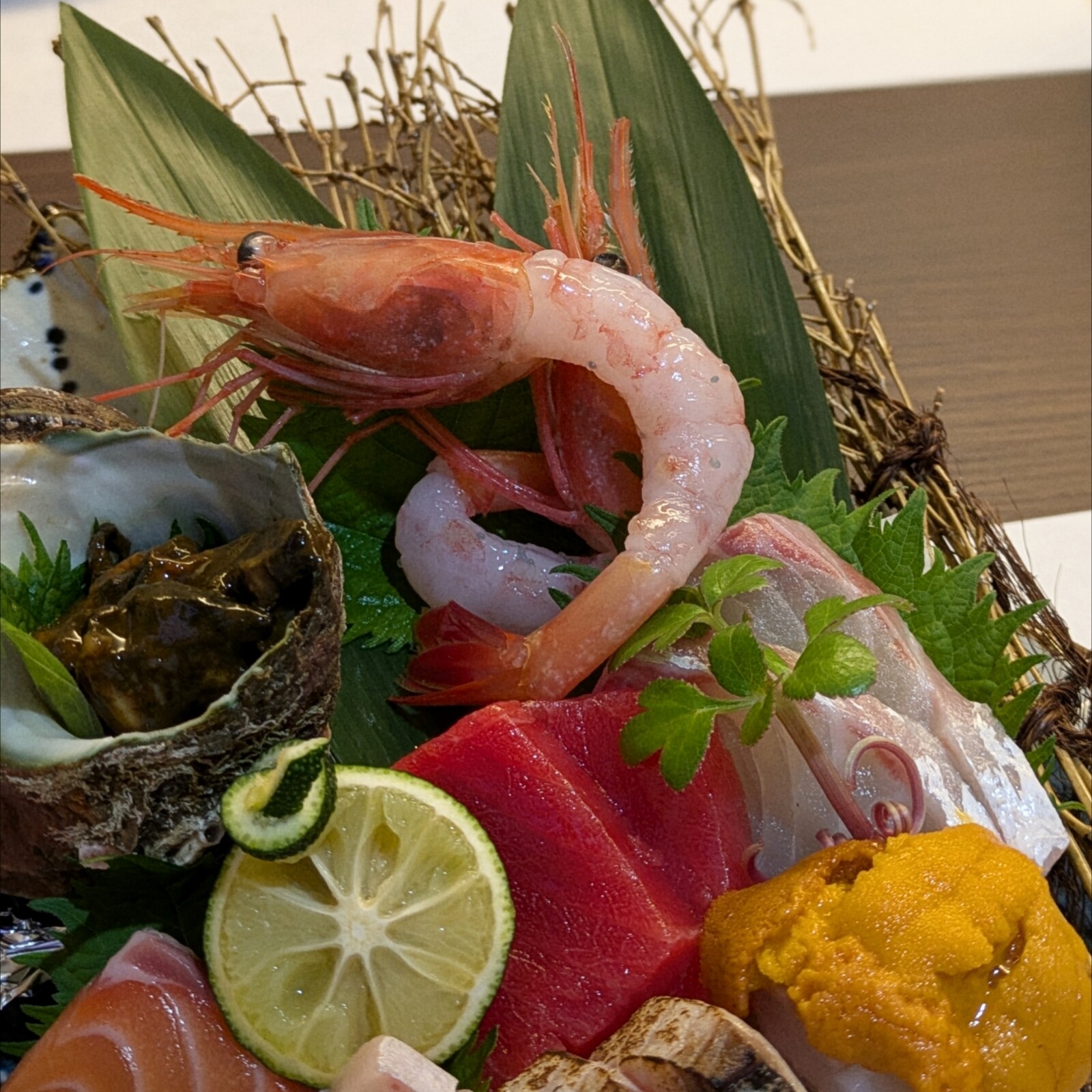 Polish_20260210_211031538