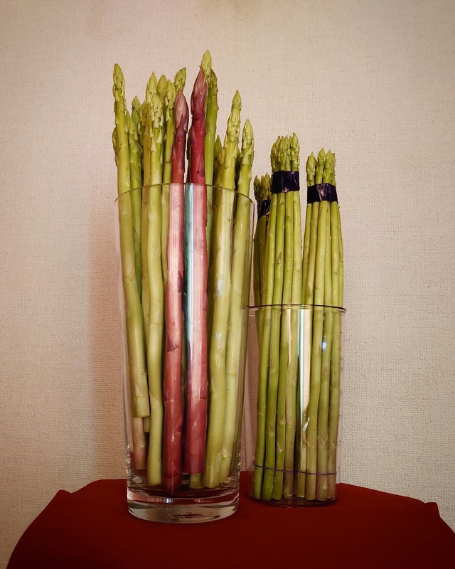 IMG_20200905_132406_260