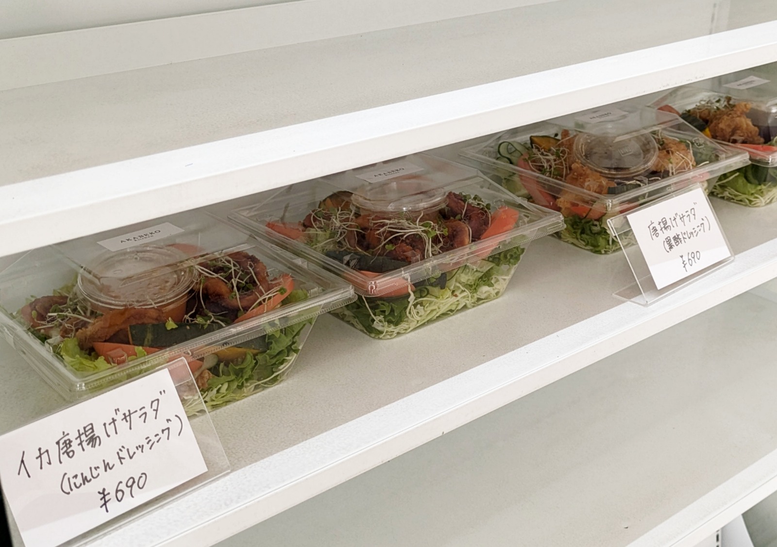 Polish_20260204_153030288