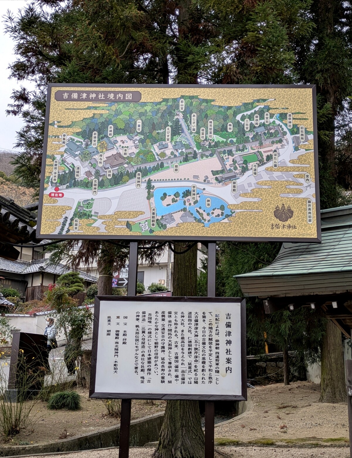 Polish_20260104_173019993