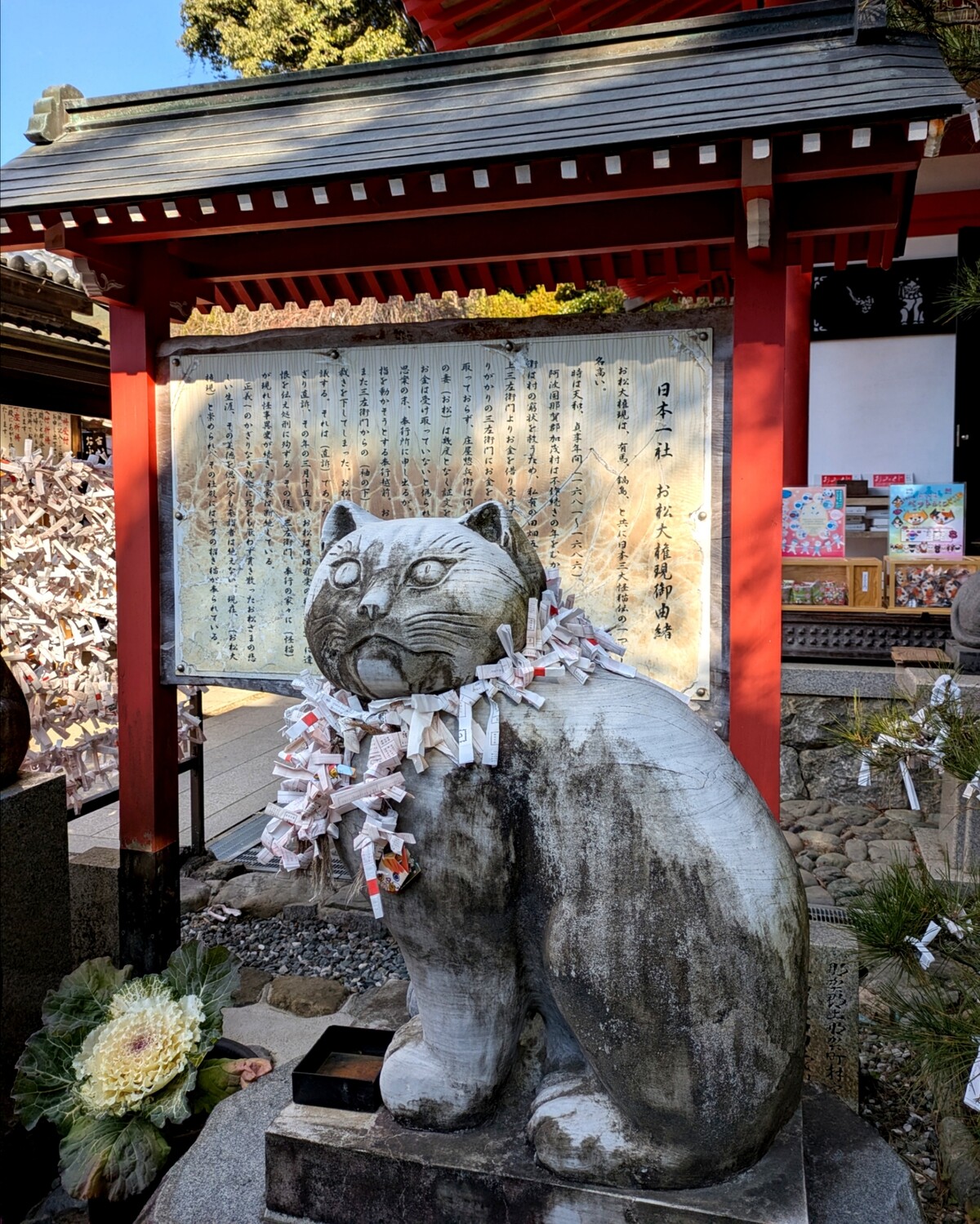 Polish_20260113_161614238