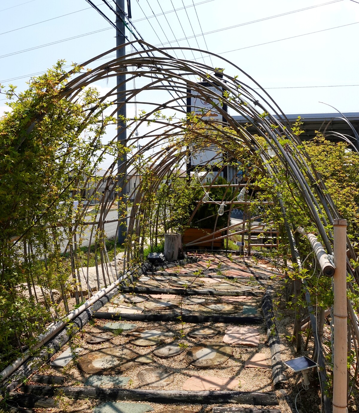 Polish_20260405_081543956