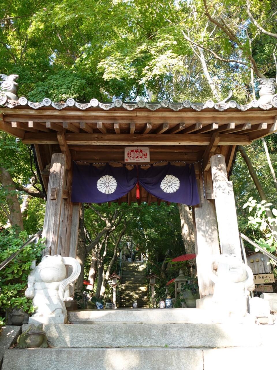 DSC03004