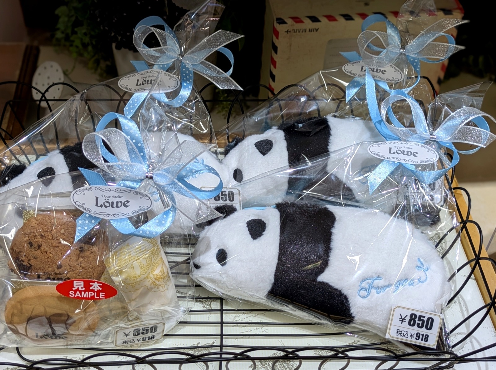 Polish_20260202_190951725