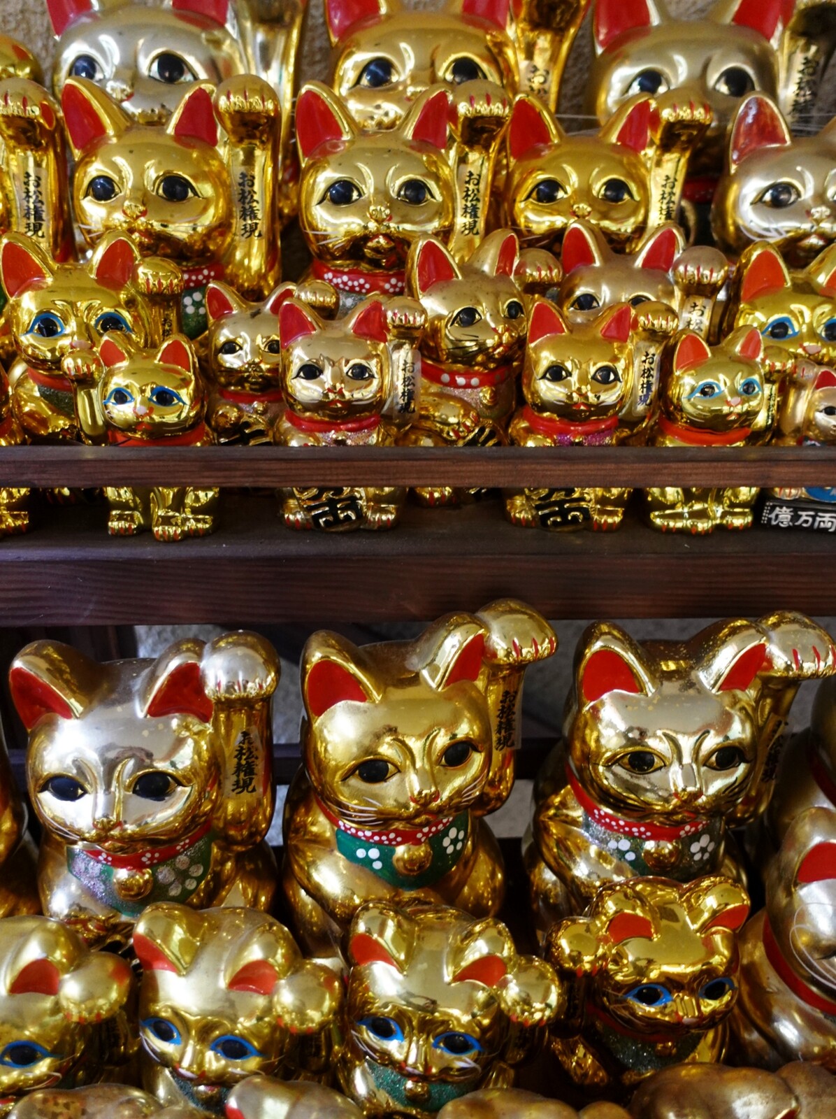 Polish_20260113_160125479