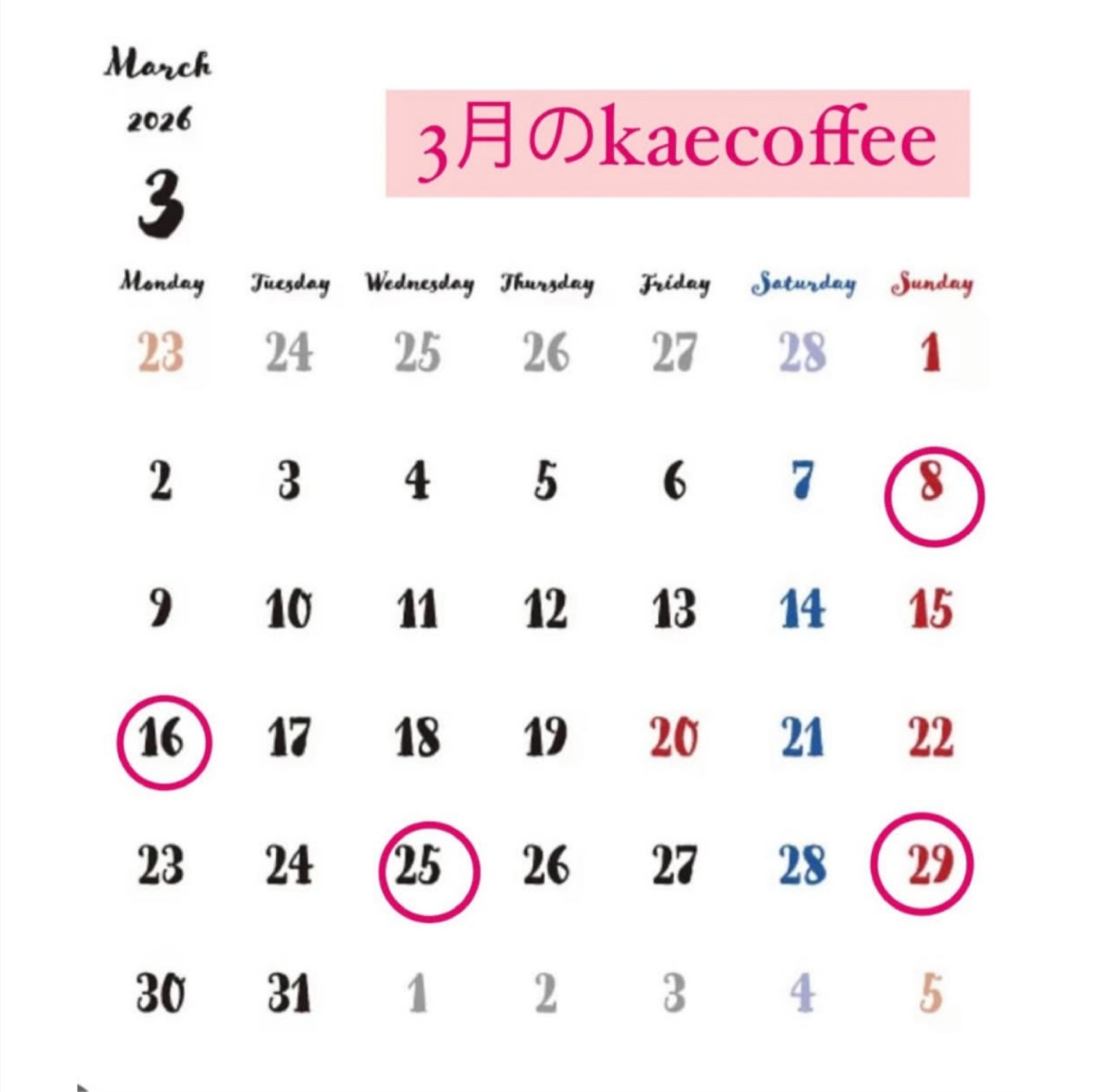 Polish_20260309_115852554