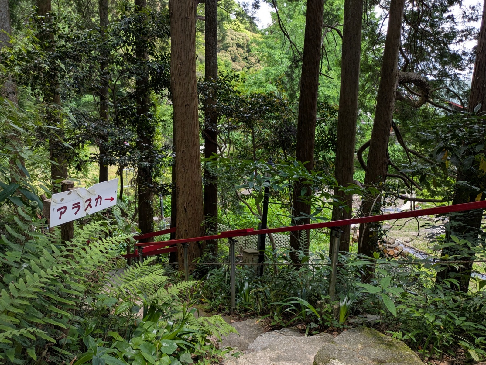 Polish_20260515_141121758