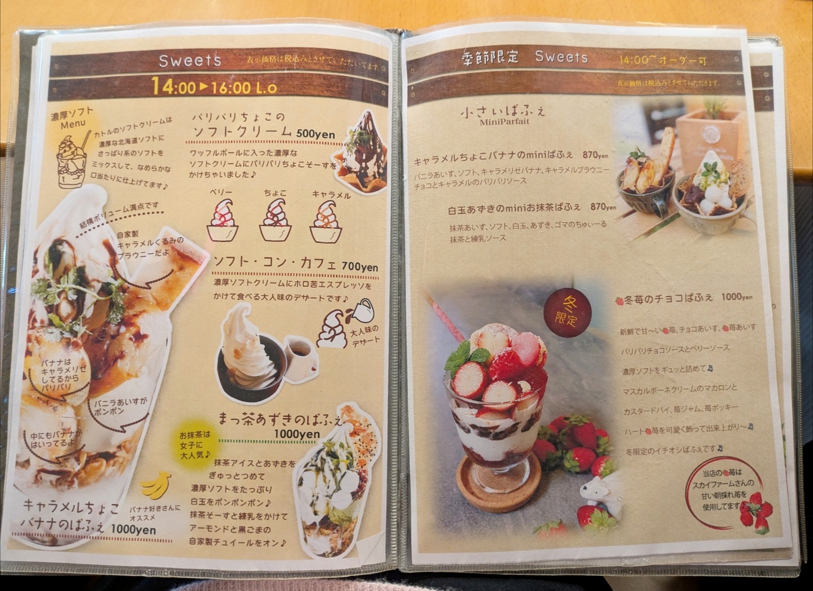 Polish_20260204_180624313