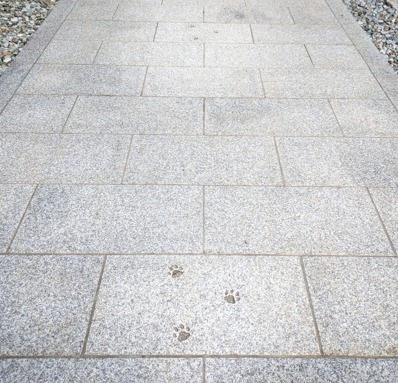 Polish_20260113_165650752