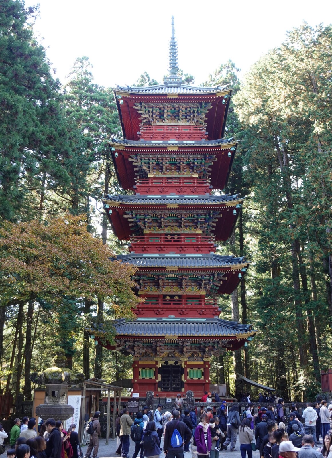 DSC03076_1_20251107121752817