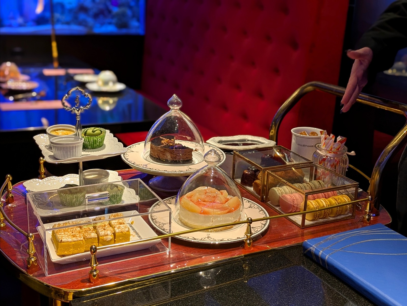 Polish_20260315_213058366