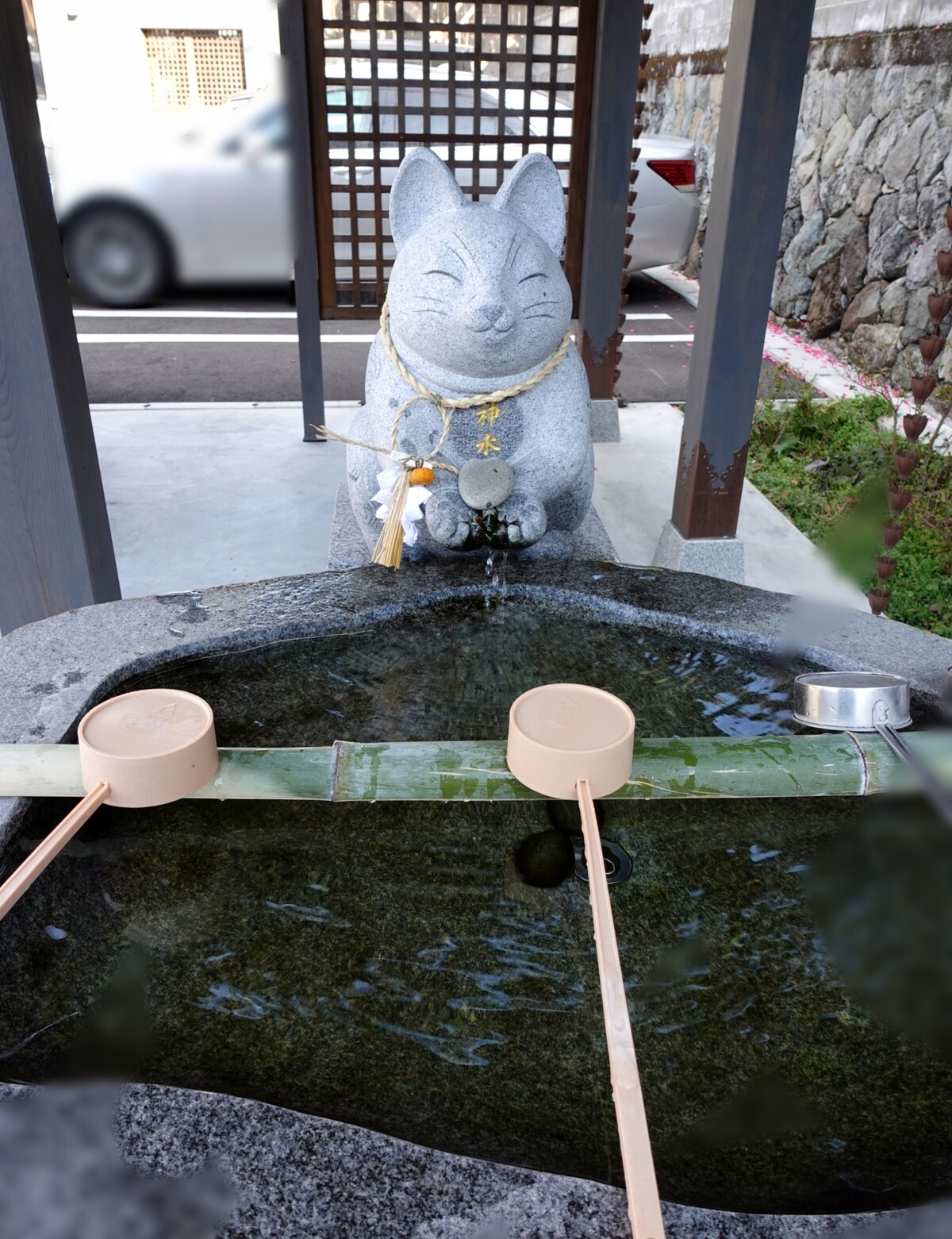 Polish_20260113_155702187