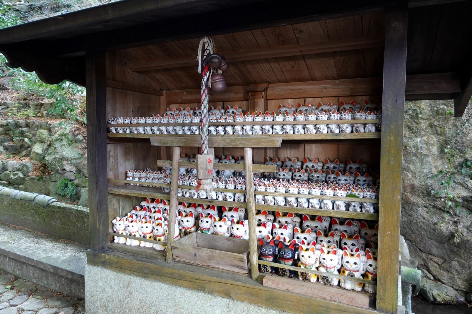 Polish_20260113_160301455