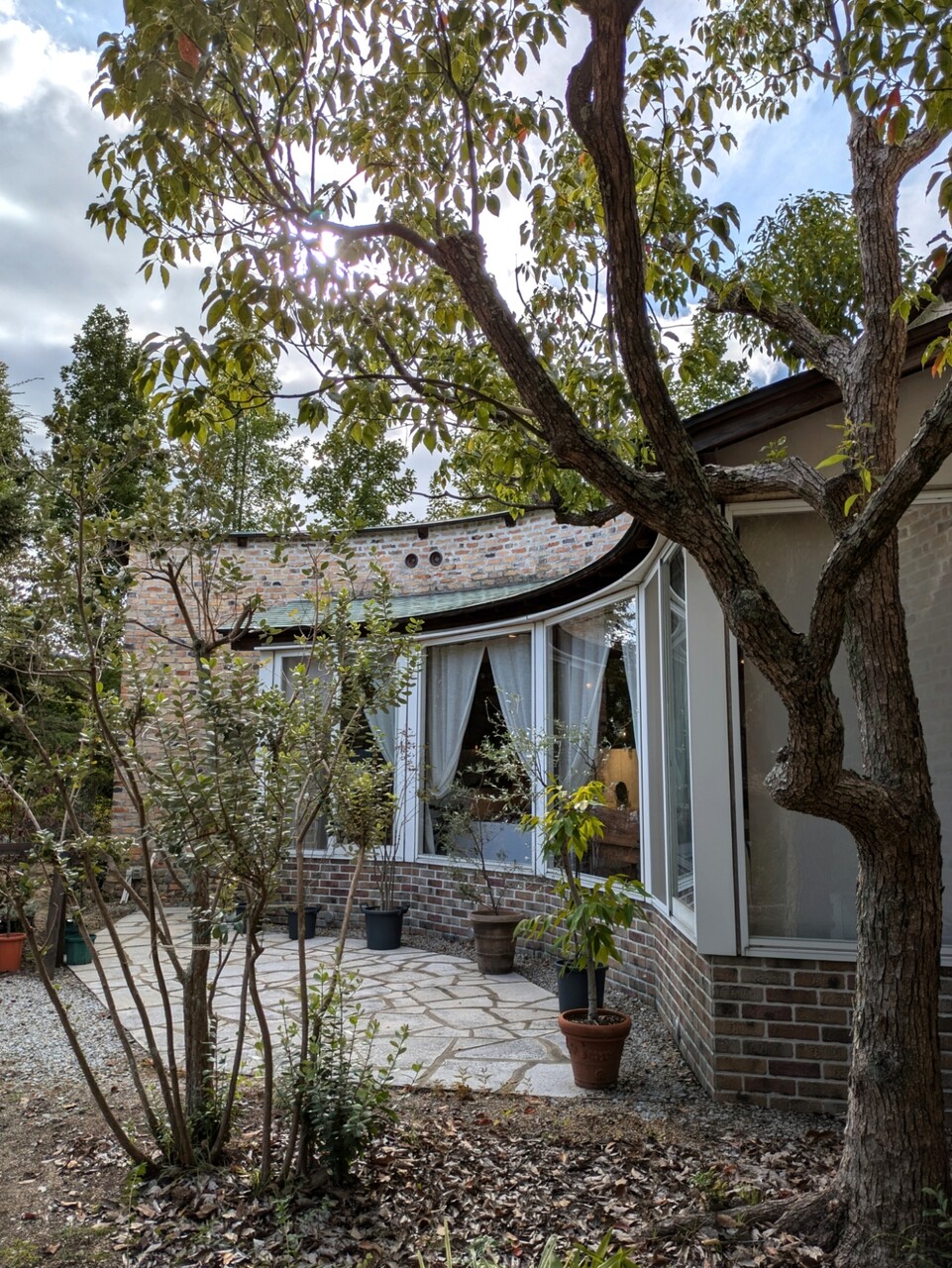 PXL_20241020_053603930