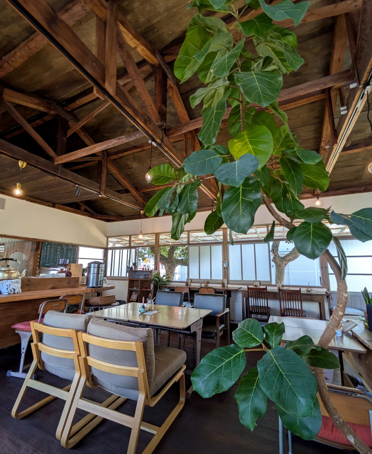 PXL_20251001_044659407