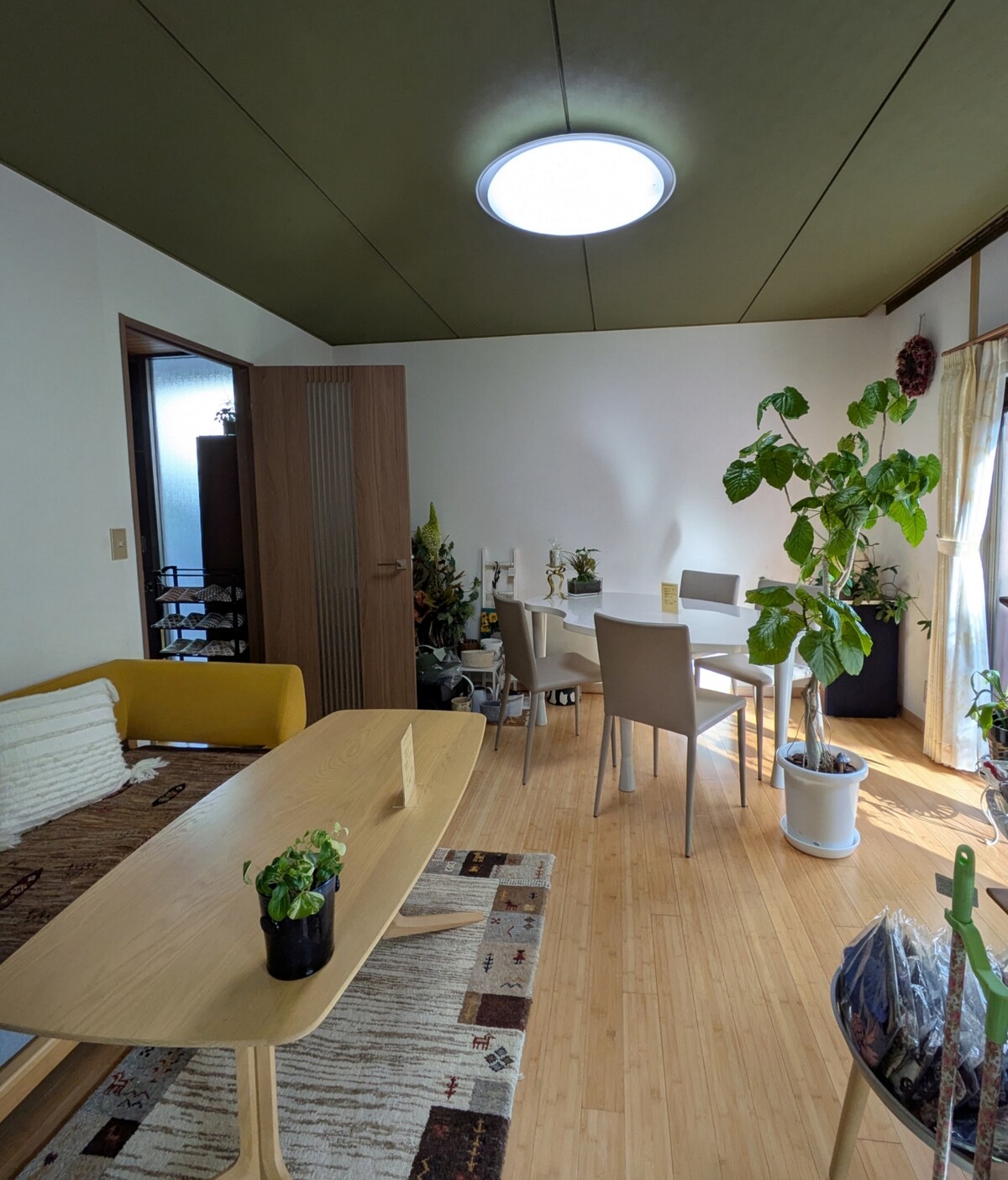 PXL_20251118_041445913