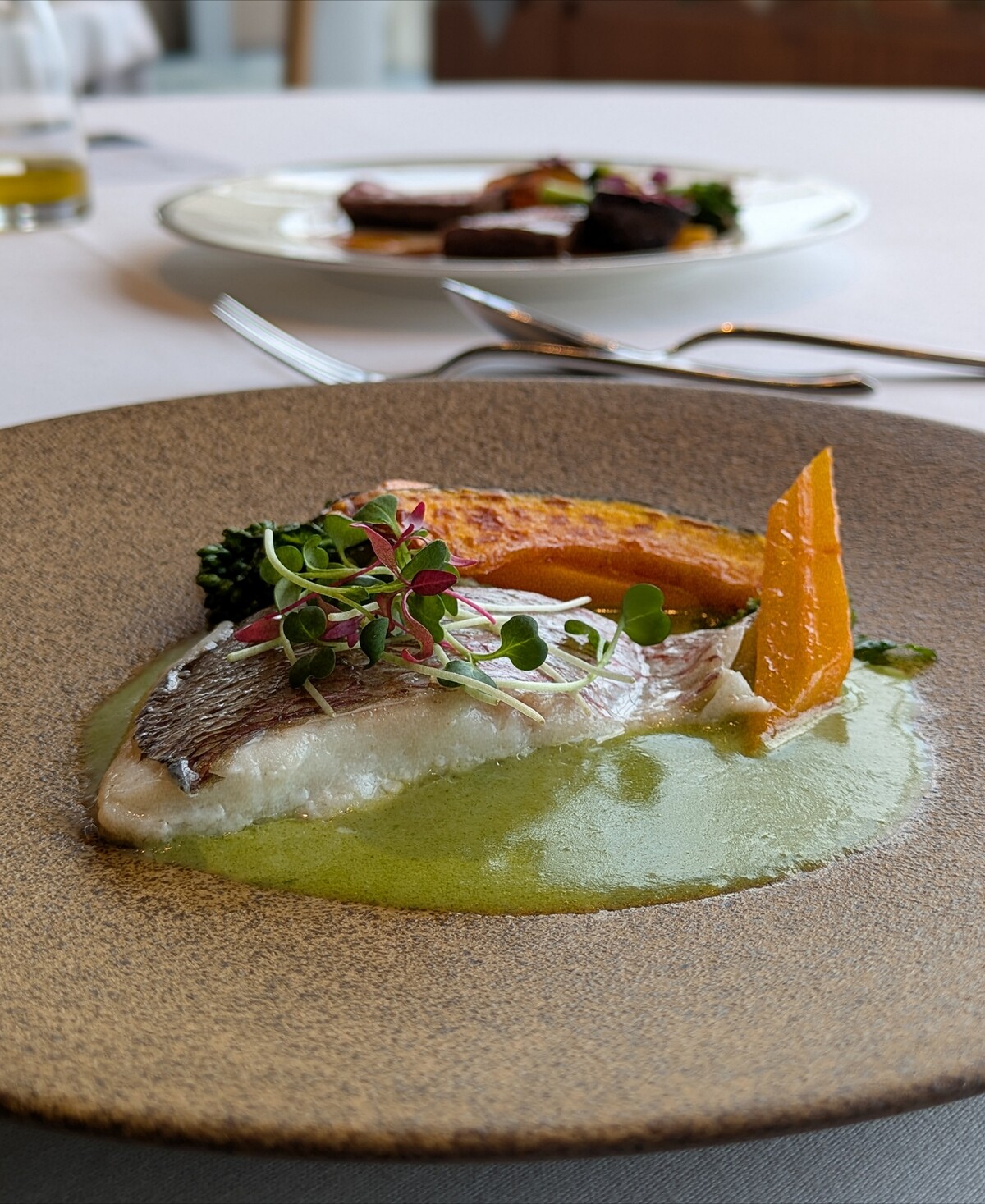 Polish_20260212_144709506