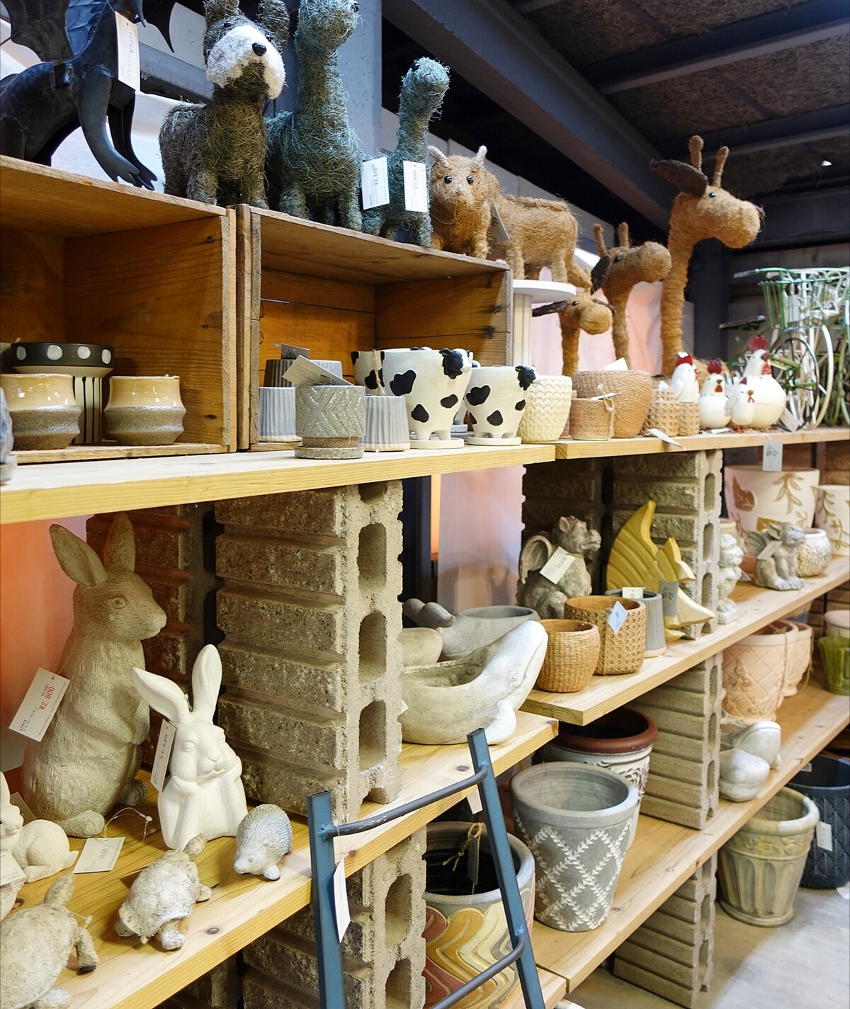 Polish_20260405_103845640